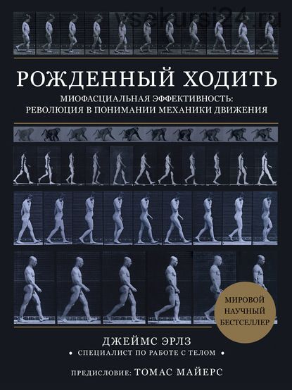 Рожденный ходить. Миофасциальная эффективность (Джеймс Эрлз)