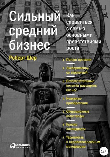 Сильный средний бизнес: Как справиться с семью основными препятствиями роста (Роберт Шер)