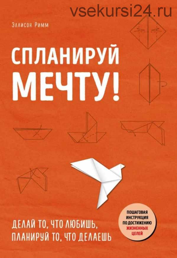 Спланируй мечту. Пошаговая инструкция по достижению жизненных целей (Римм Элисон)