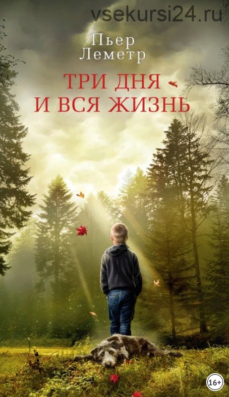 Три дня и вся жизнь (Пьер Леметр)