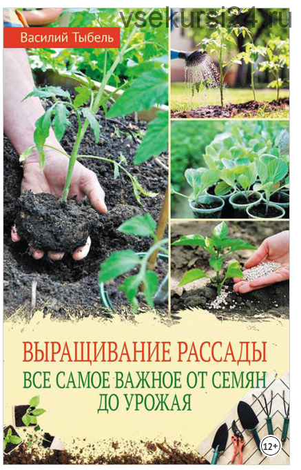 Выращивание рассады. Все самое важное от семян до урожая (Василий Тыбель)