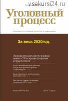 [Актион-МЦФЭР] Уголовный процесс За весь 2020год