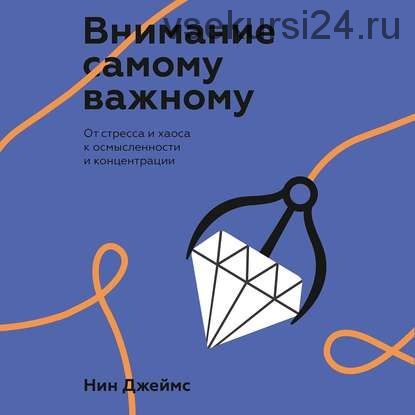 [Аудиокнига] Внимание самому важному.От стресса и хаоса к осмысленности и концентрации (Нина Джеймс)