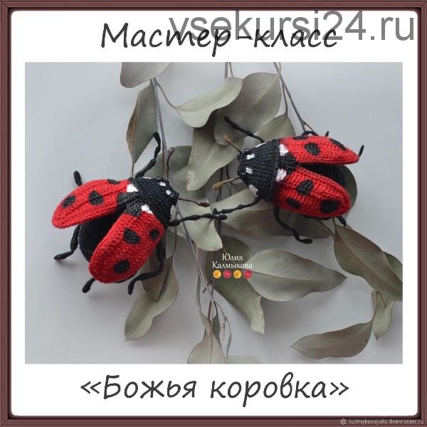 Божья коровка (Юлия Калмыкова)