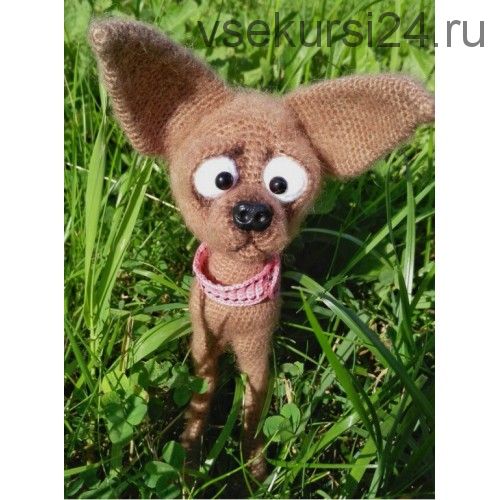 Мастер-класс Тойтерьер (Ольга Колесникова)