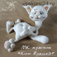 МК 'Кот Еремей'. Крючок (описание вязания) (Светлана Перцева)