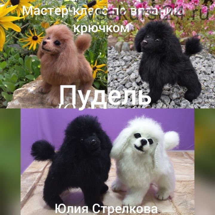 Пудель (Юлия Стрелкова)