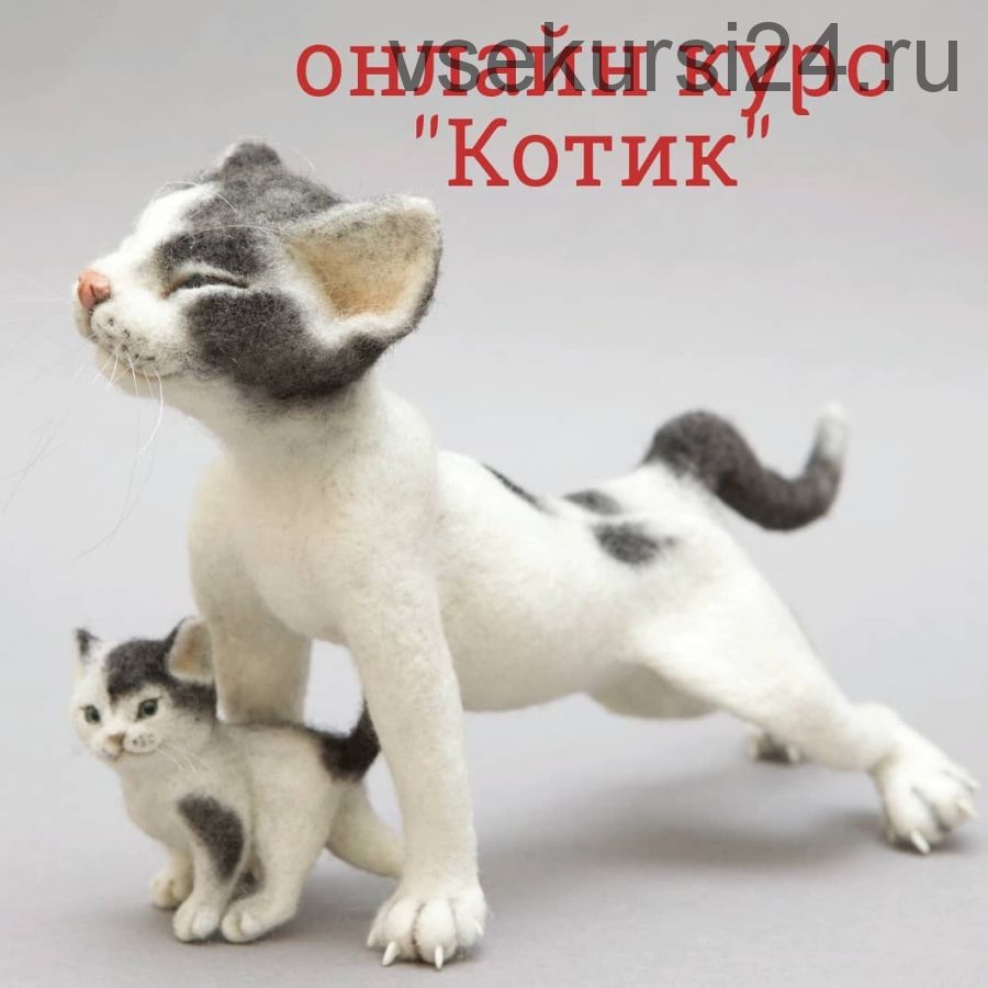 Котик (Наталья Евдокимова)