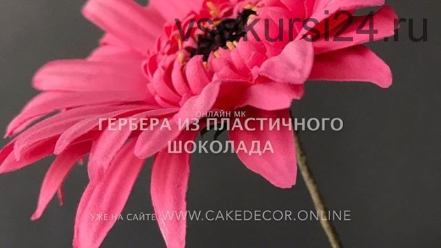 [Кондитерка] Гербера из пластичного шоколада (Светлана Кузьмина)