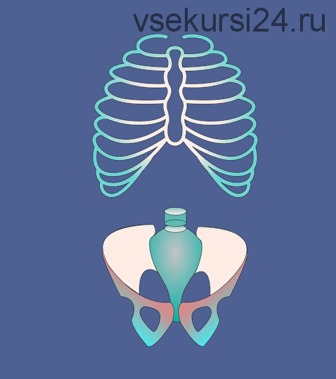 [МГХПА] Позвоночник. Грудная клетка. Таз (Александр Рыжкин)