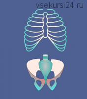 [МГХПА] Позвоночник. Грудная клетка. Таз (Александр Рыжкин)