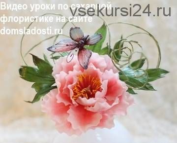 [сладость] Сахарные цветы в английской технике. Пион и бабочка (Анна Галич)