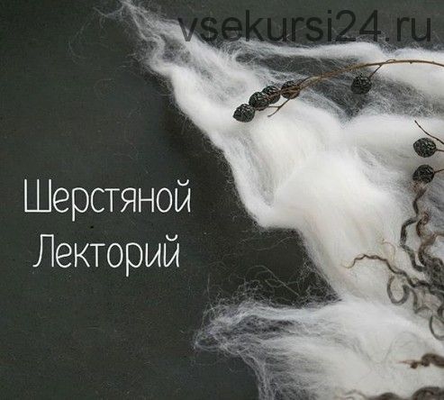 [Валяние] Шерстяной лекторий (wool_lect)