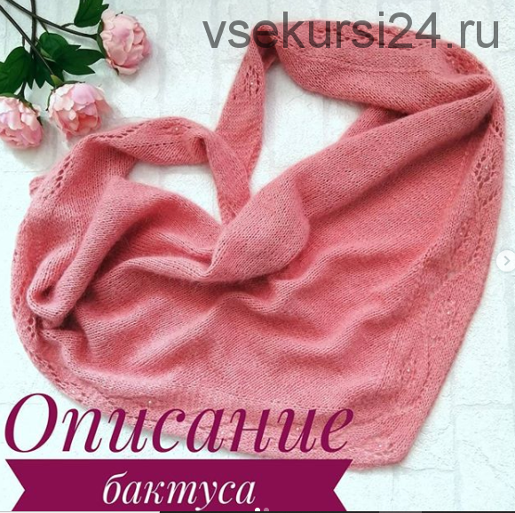 Бактус 'Нежный цветок' (tayana_knitting)