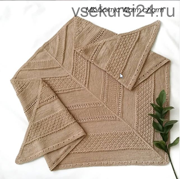 Бактус 'Warm charm' (sharm.knit)