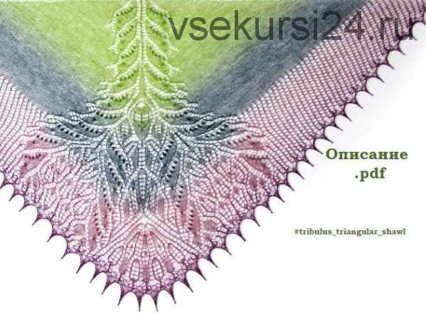 Инструкция по вязанию треугольной шали 'Чертополох' (Ольга Суховалова)