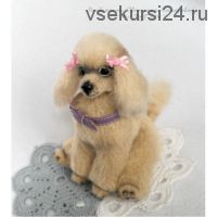 Ника пудель (Светлана Комарова)