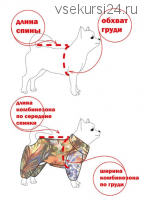 [Шитье] Выкройка комбинезона для собаки (Стартекс)