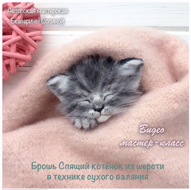 Брошь Спящий котенок из шерсти (Екатерина Сосина)