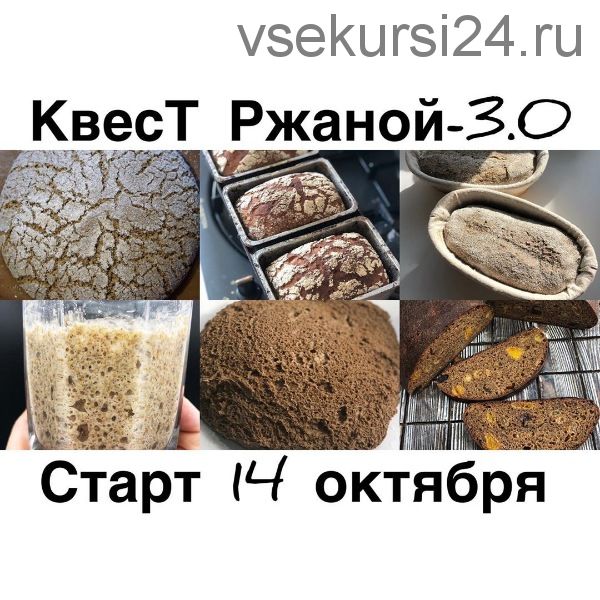 Квест Бородинский 3.0 (olga_pekarko)