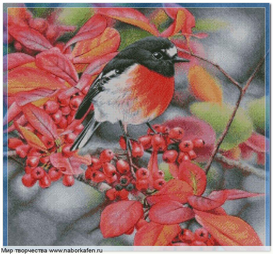 Набор для вышивания "Scarlet Robin and Cotoneaster"