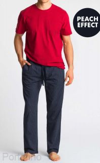NMP-347 bordo