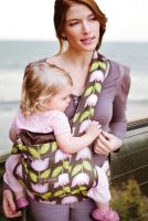 Ergobaby Carrier Designer Petunia Pickle Bottom Heavenly Holland