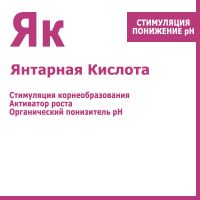 Янтарная кислота, 100 гр.