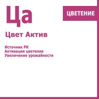 Цвет Актив, 500 мл