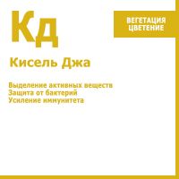 Кисель Джа, 250мл