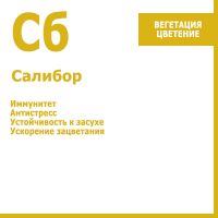 Салибор, 50 гр.