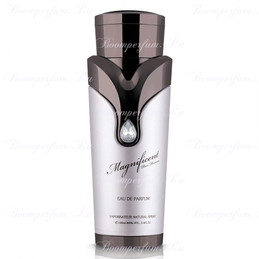 Armaf Magnificent Pour Homme, 100 ml