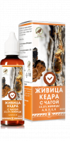 Живица кедра 12,5% с чагой