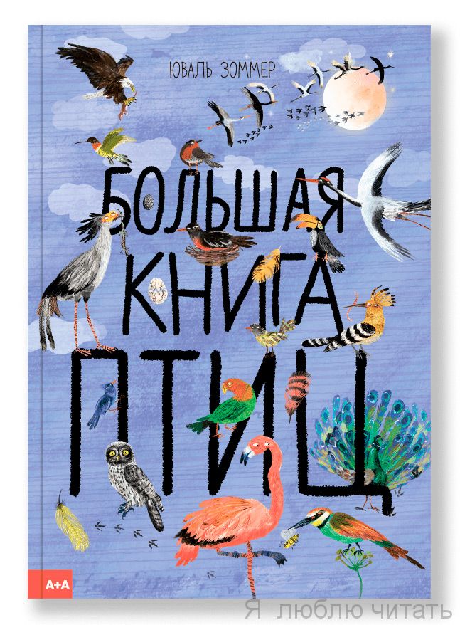 Большая книга птиц