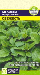 Мелисса лекарственная Свежесть (Семена Алтая)