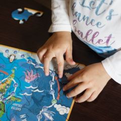 Деревянный пазл World Tour