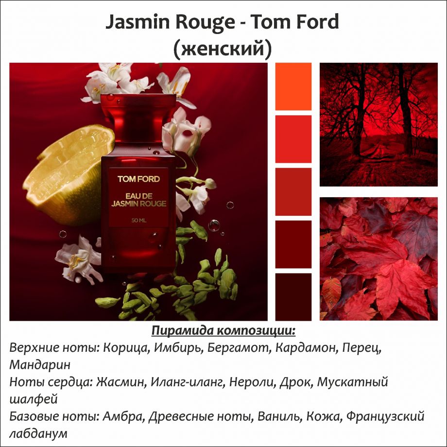 ~Jasmin Rouge (w) ~