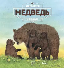 Животные в природе.  Медведь