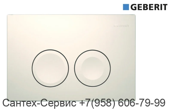 115.125.11.1 Смывная клавиша Geberit Delta 21