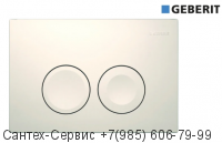 115.125.11.1 Смывная клавиша Geberit Delta 21