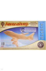 Сборная модель "Авиалайнер" (P039)