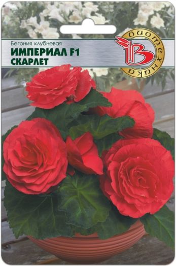 Бегония Империал F1 Скарлет клубневая 10шт /5/10