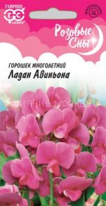 Горошек многолетний Ладан Авиньона (Гавриш)