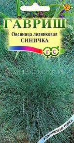 Овсянница декоративная Синичка (Гавриш)