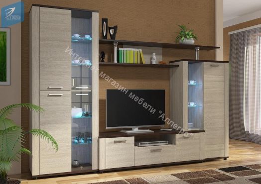 Гостиная «Соло 10 А»