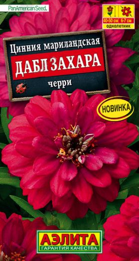 Цинния Дабл захара Черри 5шт