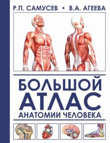 Большой атлас анатомии человека - Самусев Рудольф Павлович, Агеева Валентина Анатольевна