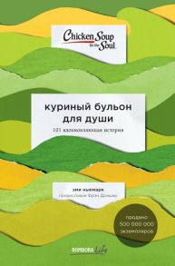 Куриный бульон для души: 101 вдохновляющая история о сильных людях и удивительных судьбах - Ньюмарк Эми