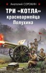 Три «котла» красноармейца Полухина - Сорокин Анатолий Вячеславович