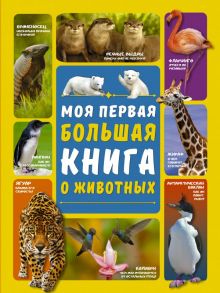 Моя первая большая книга о животных - Ермакович Дарья Ивановна, Вайткене Любовь Дмитриевна